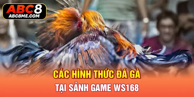 Các hình thức đá gà tại sảnh game WS168