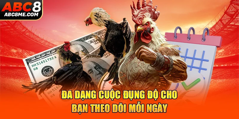 Đa dạng cuộc đụng độ cho bạn theo dõi mỗi ngày 