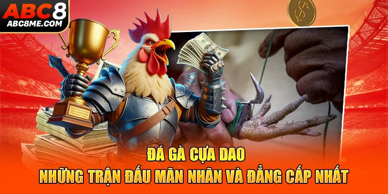 da-ga-cua-dao-nhung-tran-dau-man-nhan-va-dang-cap-nhat-