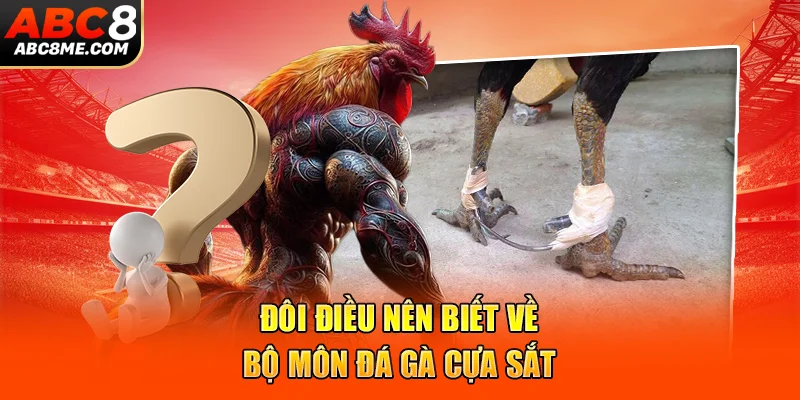 Đôi điều nên biết về bộ môn đá gà cựa sắt