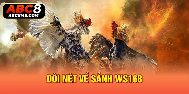 Đôi nét về sảnh WS168