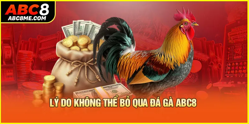 Lý do không thể bỏ qua đá gà ABC8 