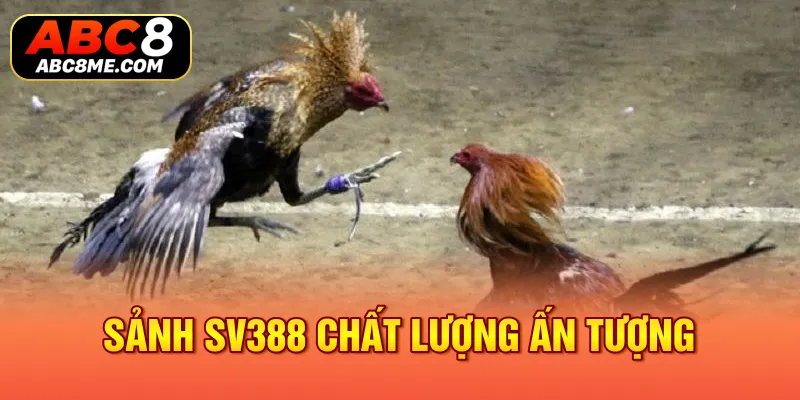 Sảnh SV388 chất lượng ấn tượng 