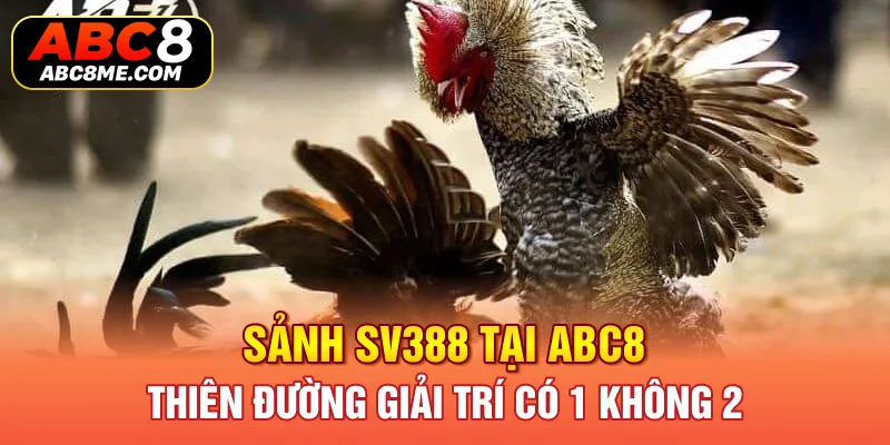 Sảnh SV388 Tại ABC8 - Thiên Đường Giải Trí Có 1 Không 2