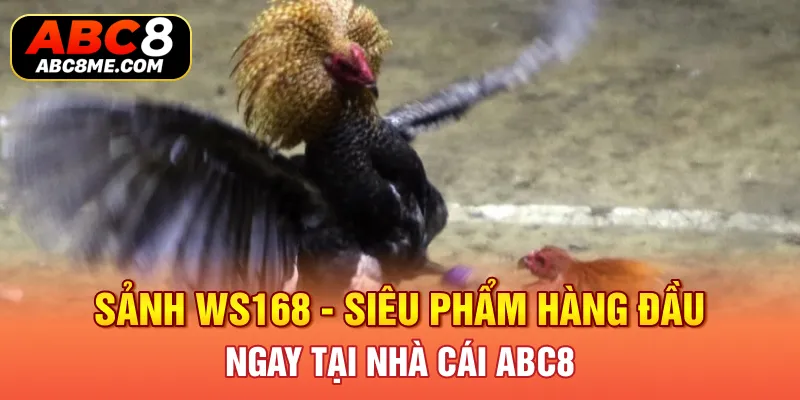 Sảnh WS168 - Siêu Phẩm Hàng Đầu Ngay Tại Nhà Cái ABC8